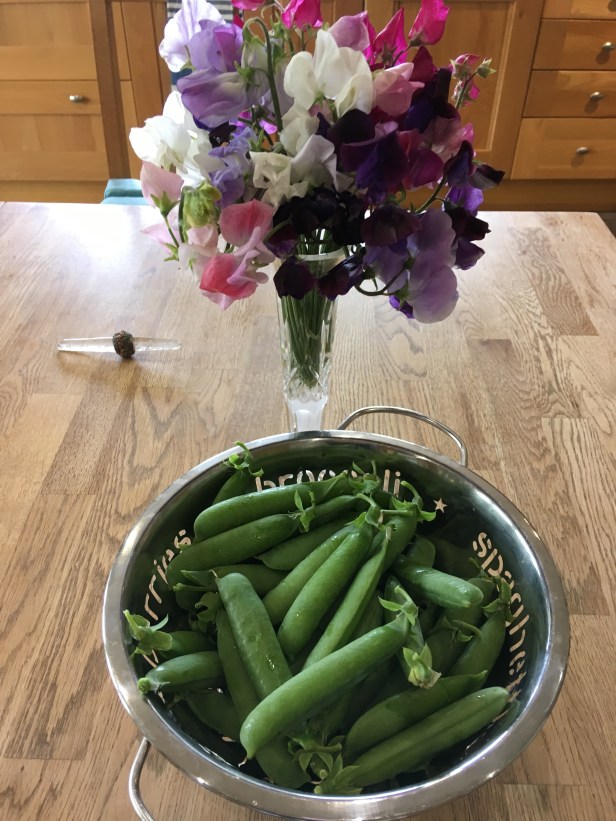 8E633EDF-9DCB-44A9-B73A-B3A0750BBE09