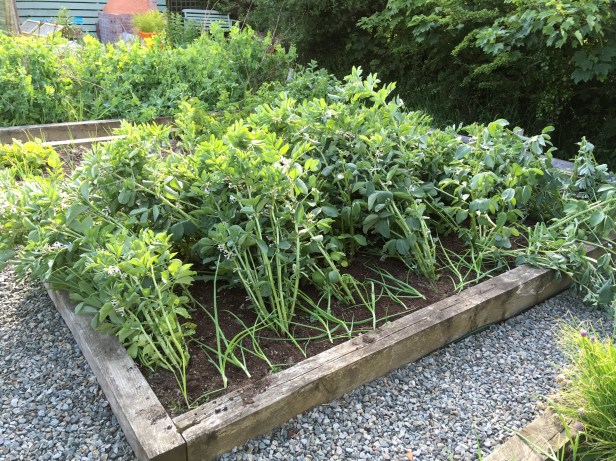 B72D9E9B-876C-4742-8C62-7C086C0EFB2E