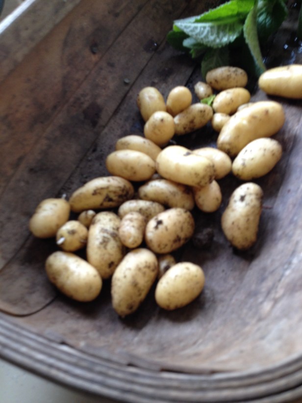 C68ED724-C972-4DA6-9C49-923B0E1ECA68