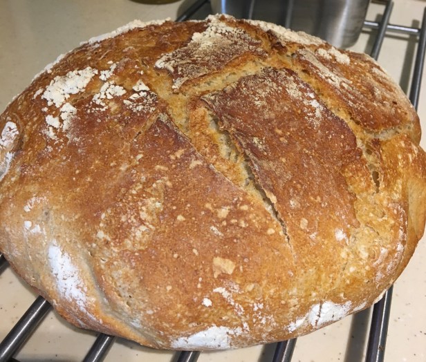 F3525B35-C388-49BE-A82F-8F09AC1DBD46