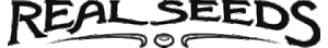 3024C5B5-F33C-4188-ACE5-D7723EA07DFC