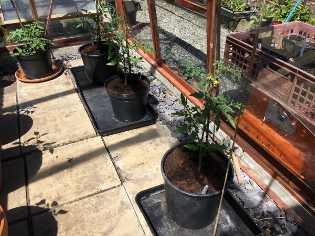 39D31B84-27A4-49E7-A0BE-D91236D5473E